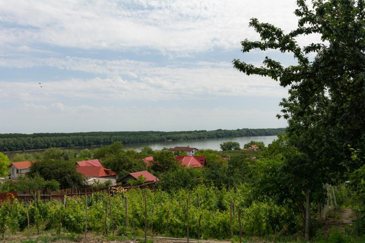 Casa Lac De Verde Băltenii de Sus Exterior foto