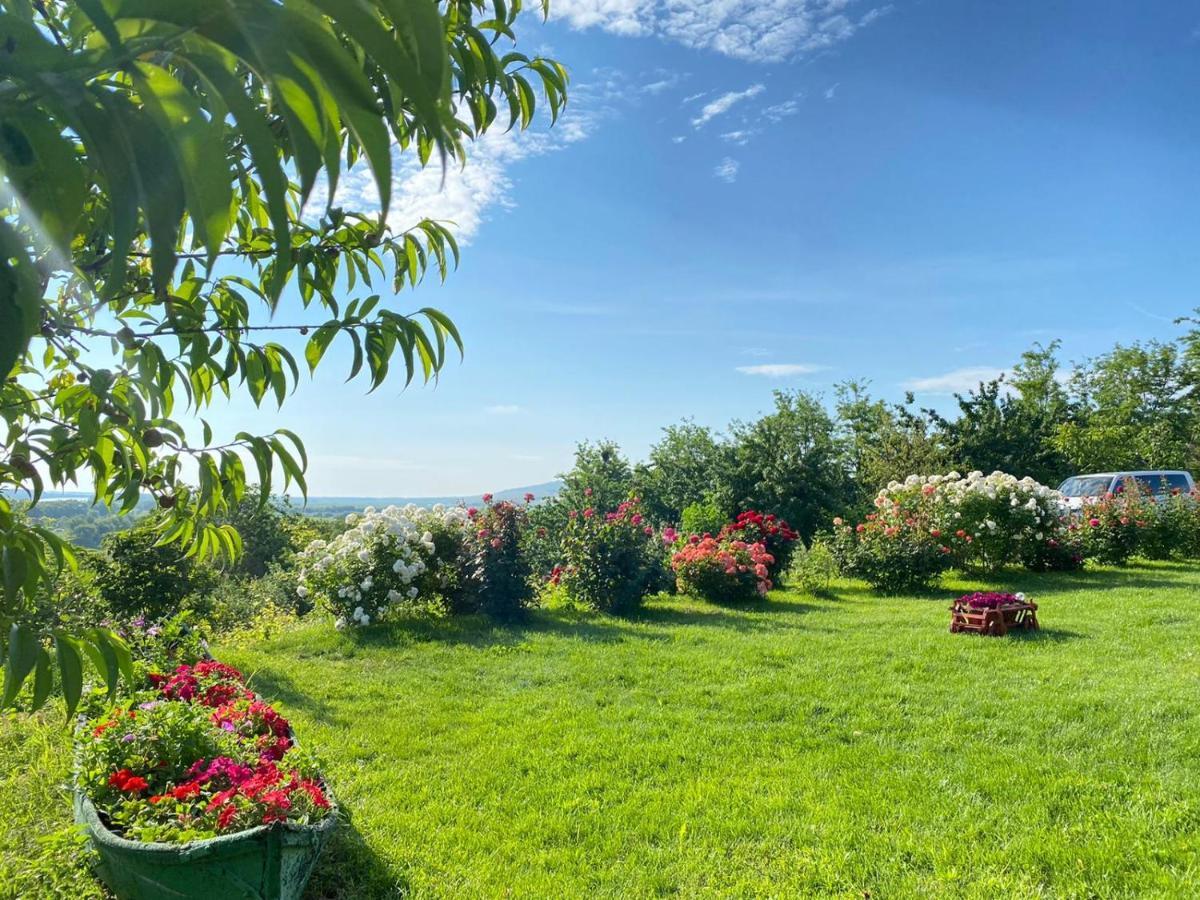 Casa Lac De Verde Băltenii de Sus Exterior foto