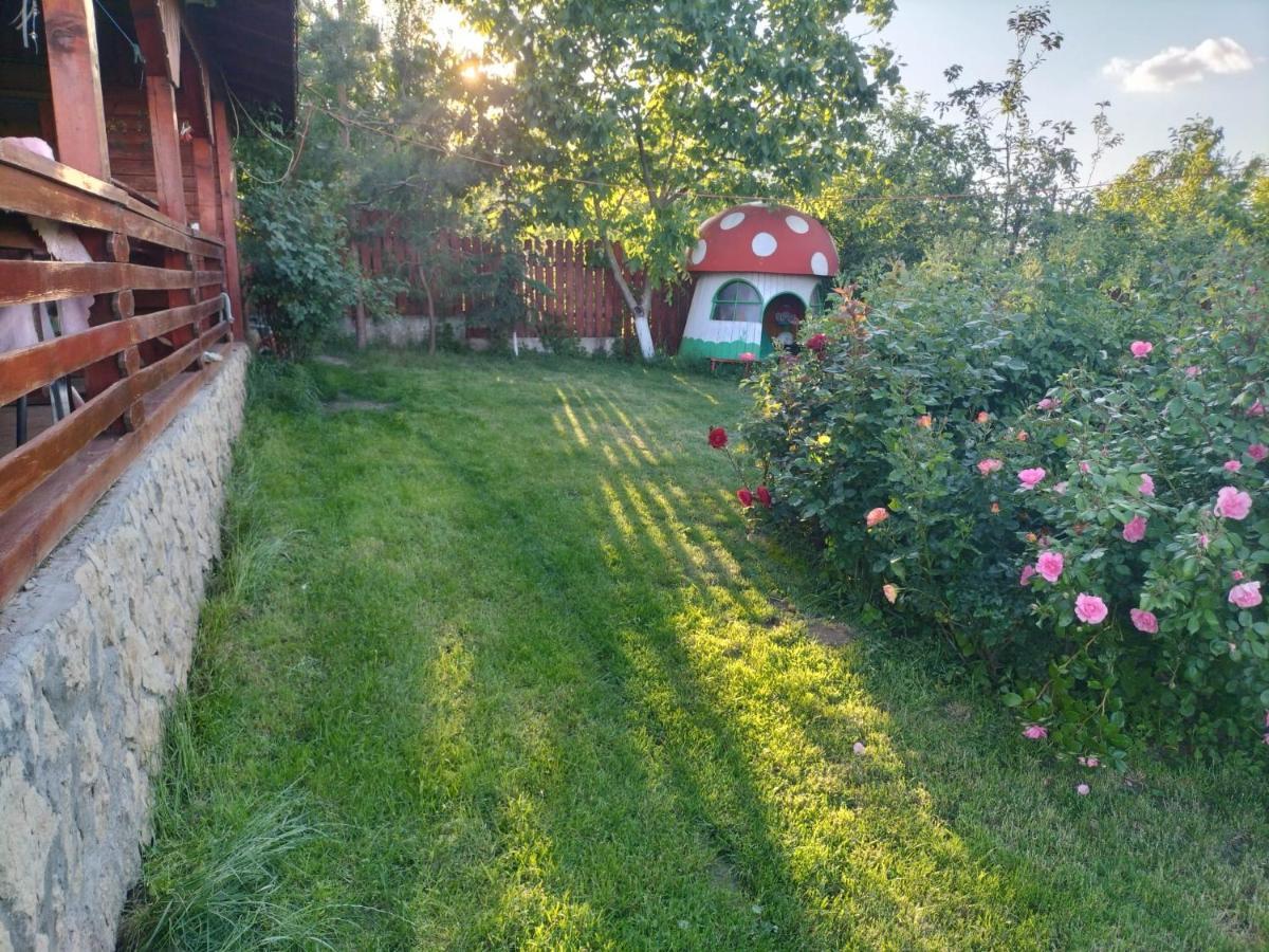 Casa Lac De Verde Băltenii de Sus Exterior foto
