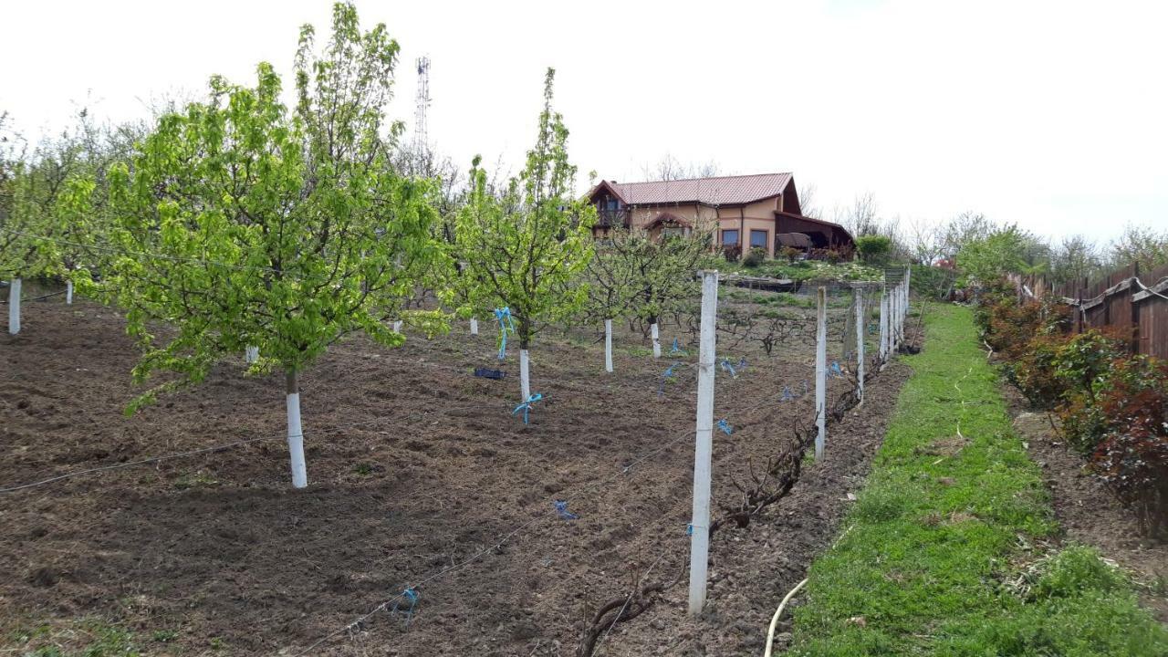 Casa Lac De Verde Băltenii de Sus Exterior foto